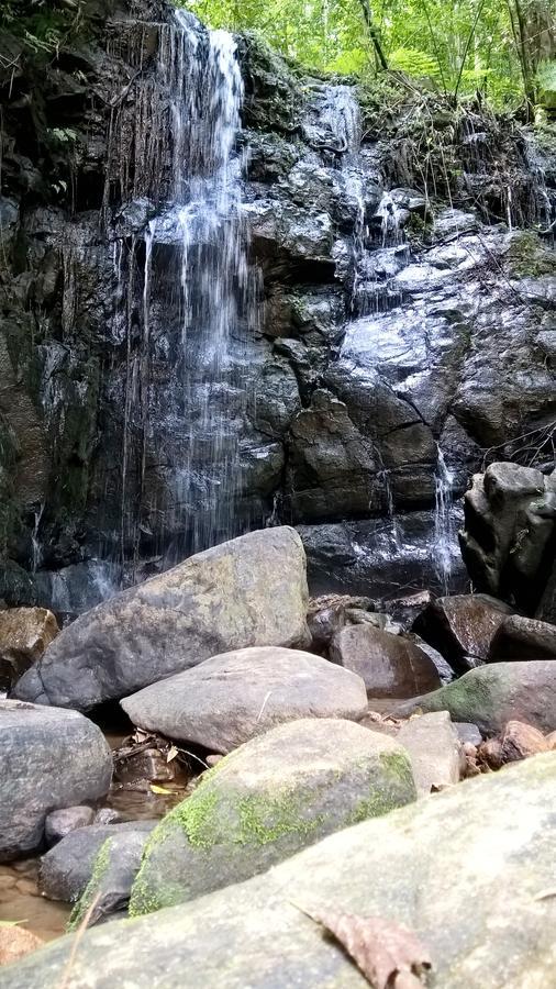 דניאיאה Sinharaja Forest Sanctuary מראה חיצוני תמונה