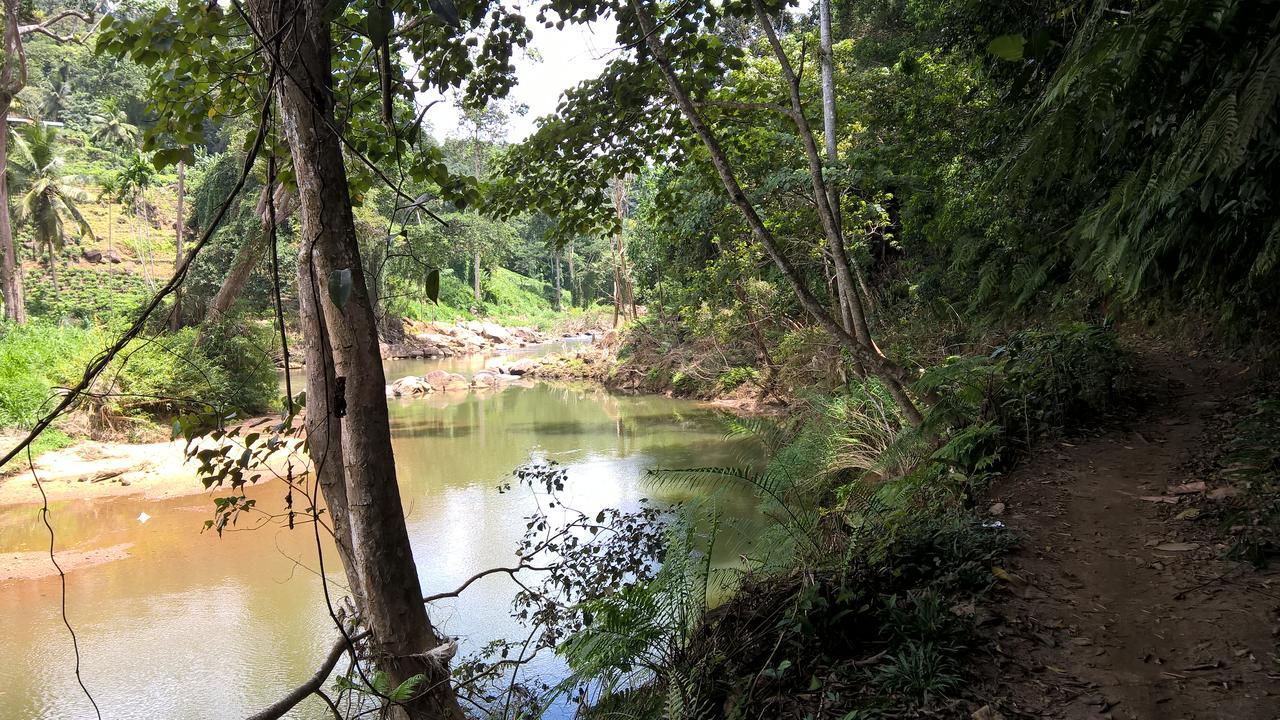 דניאיאה Sinharaja Forest Sanctuary מראה חיצוני תמונה