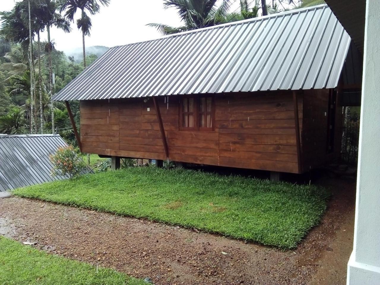 דניאיאה Sinharaja Forest Sanctuary מראה חיצוני תמונה